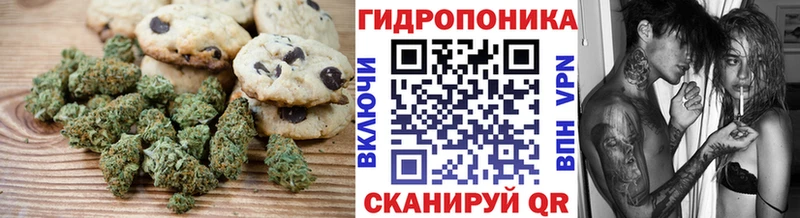 Canna-Cookies марихуана  Циолковский 