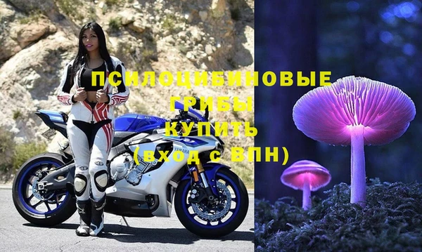 крисы Покровск