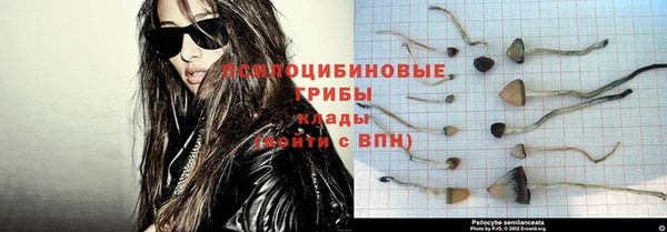 крисы Покровск