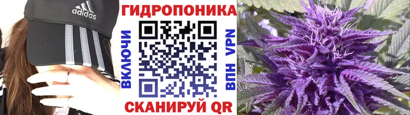 Бошки марихуана Ganja  закладка  Циолковский 